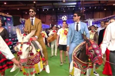 Shahid Kapoor ने आईफा के मंच पर जाने के लिए की गधे की सवारी