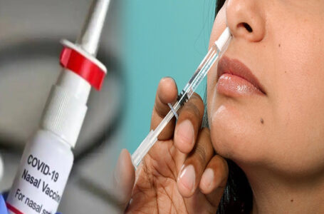 बूस्टर डोज लगवा चुके लोगों को नेजल वैक्सीन नहीं लेना चाहिए स्वास्थ्य विशेषज्ञों ने कहा