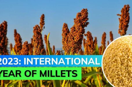 क्यों खास हैं Millet Crops ? सूखे में उगने वाला “बाजरा” जरिया बनेगा इंटरनेशनल मिलेट ईयर 2023…