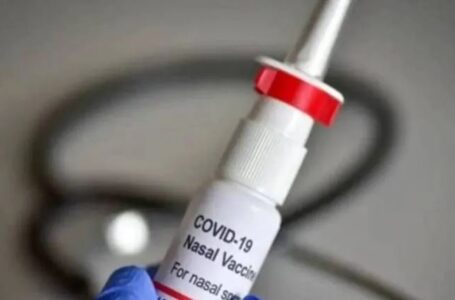 Nasal Vaccine : भारत बायोटेक की नेजल वैक्सीन के लिए कीमत हुई तय..