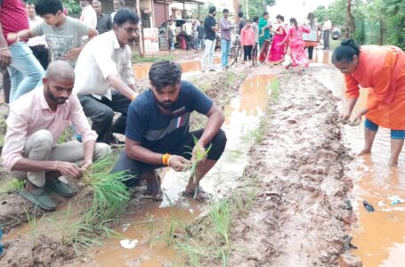 Bhilai Bjp News- भारतीय जनता युवा मोर्चा के नेताओं ने ये क्या कर दिया…किसी ने सड़क पर गड्ढा देख कर दी धान की रोपाई, तो किसी ने लगा दिए पौधे…